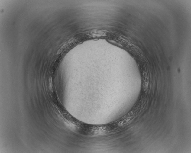 X0000067480704200605051712