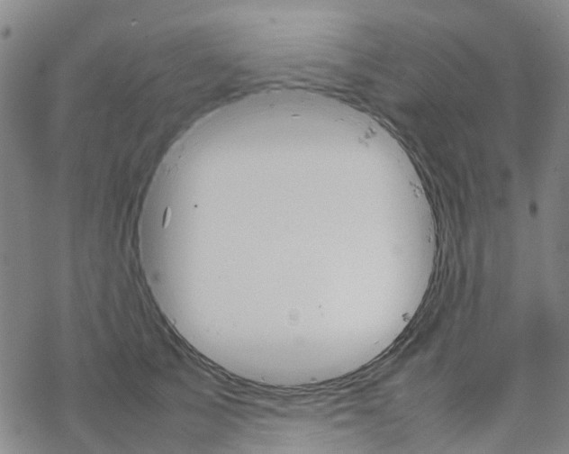 X0000067480705200605051712