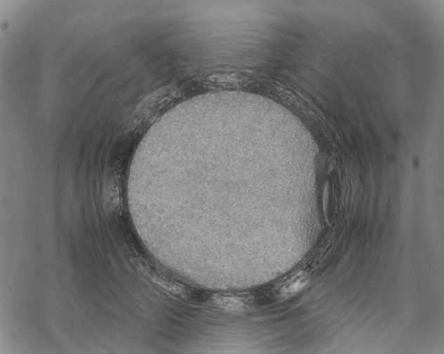 X0000067480706200605051712