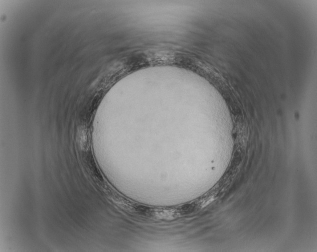 X0000067480709200605051712