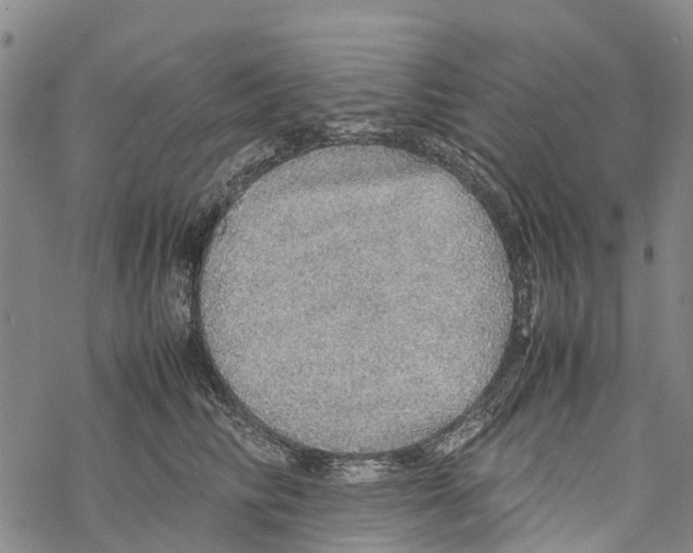 X0000067480710200605051712