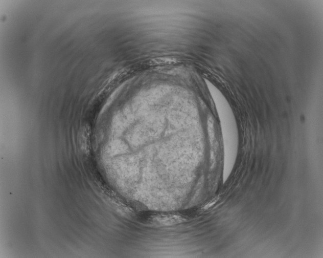 X0000067480712200605051712