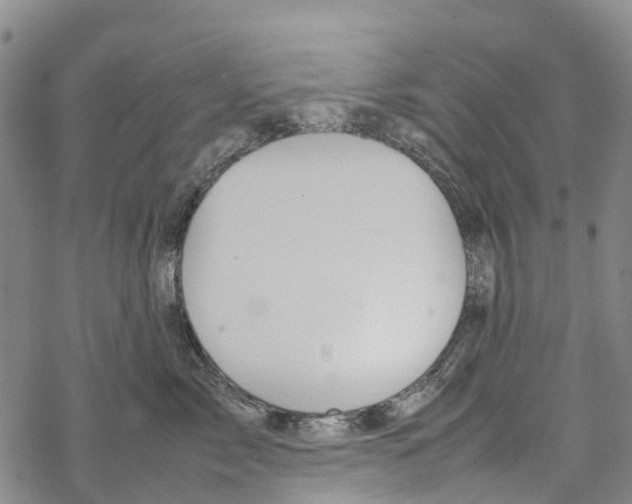 X0000067480717200605051712