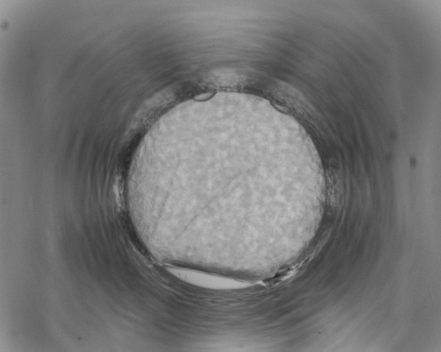 X0000067480718200605051712