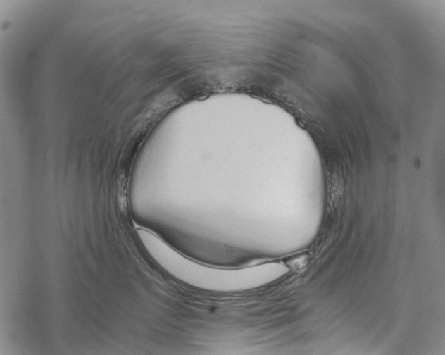 X0000067480719200605051712