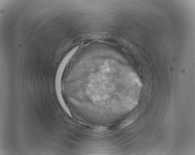 X0000067480720200605051712