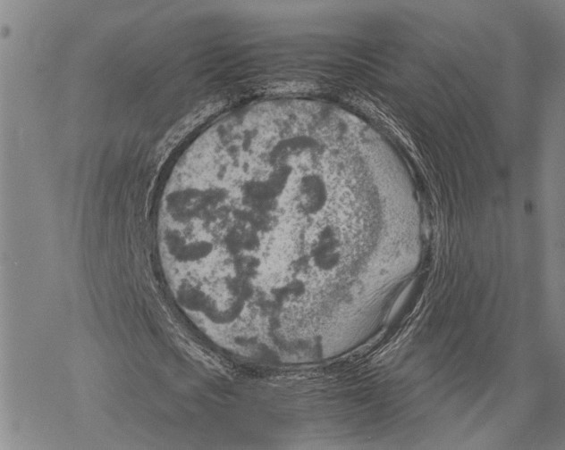 X0000067480721200605051711