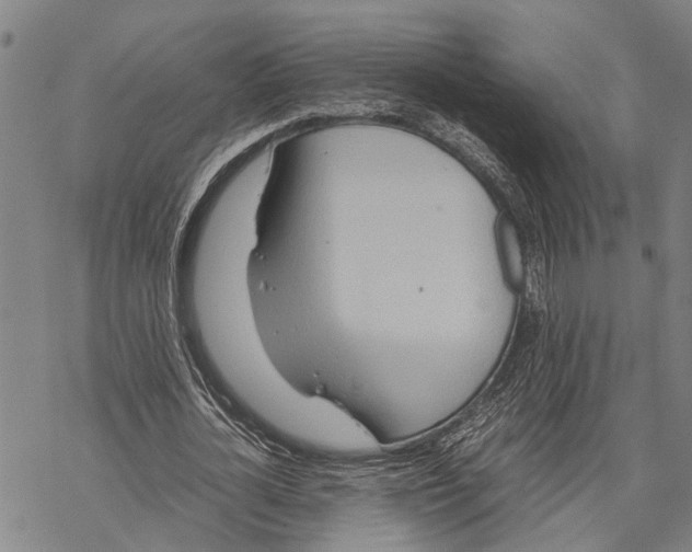 X0000067480724200605051711