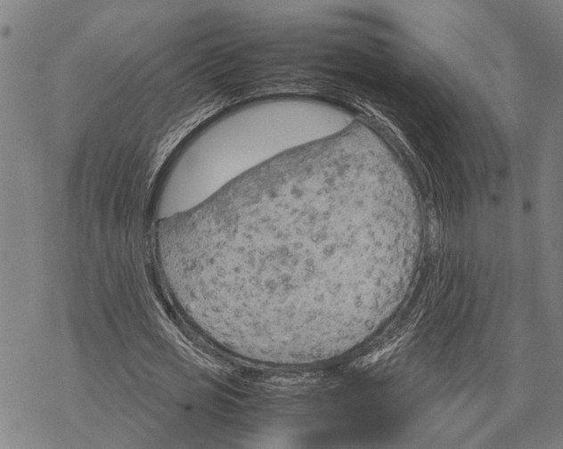 X0000067480725200605051711