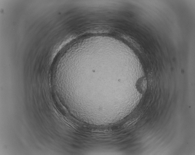 X0000067480727200605051711