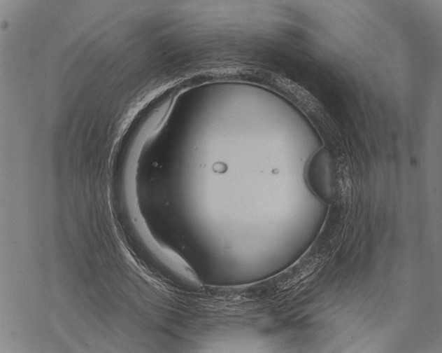 X0000067480728200605051711