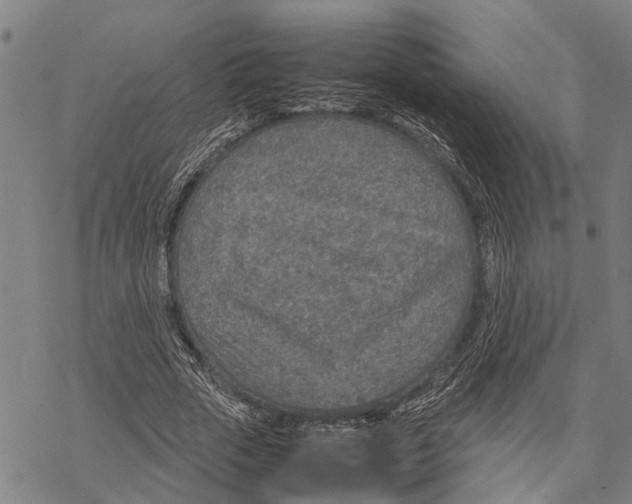 X0000067480729200605051711