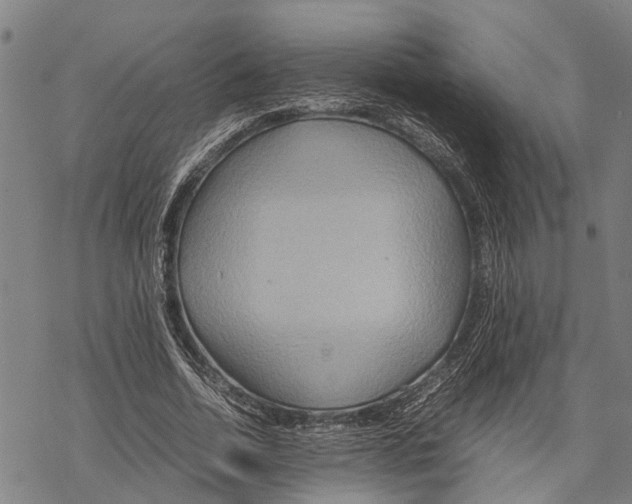 X0000067480730200605051712