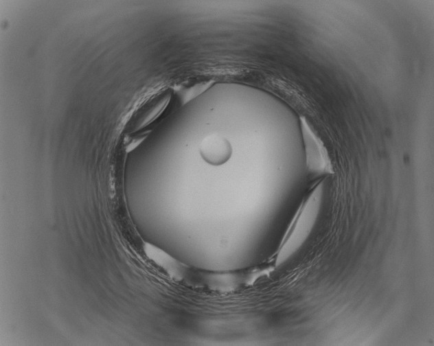 X0000067480731200605051712