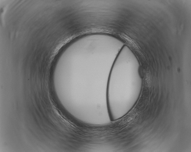 X0000067480732200605051712