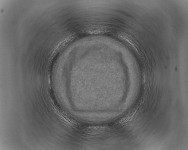 X0000067480733200605051712