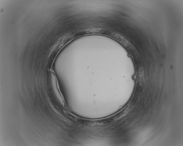 X0000067480734200605051712