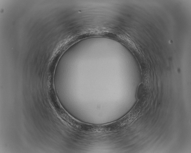 X0000067480736200605051712