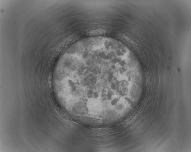 X0000067480737200605051712