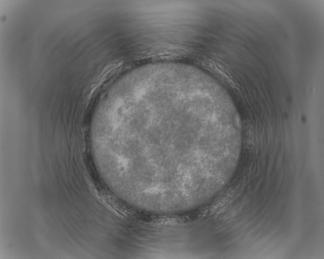 X0000067480738200605051712