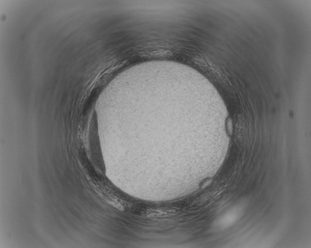 X0000067480739200605051712