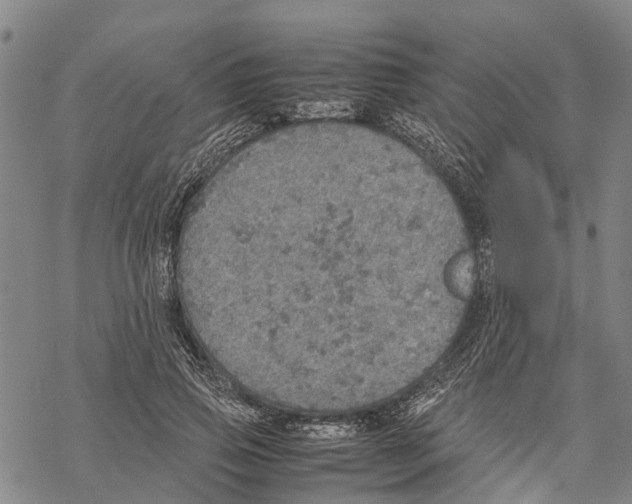 X0000067480741200605051712