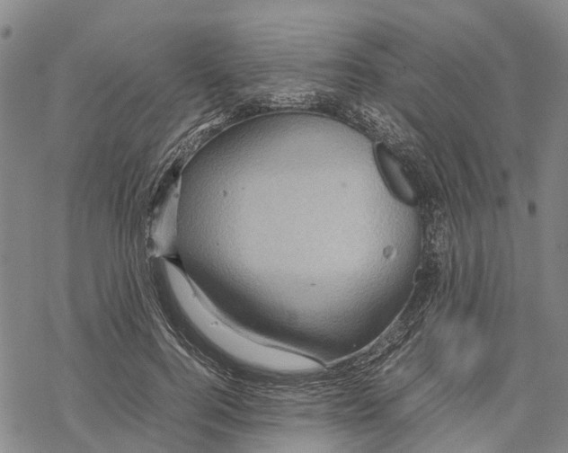 X0000067480744200605051712