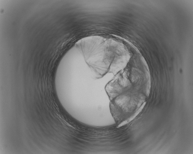 X0000067480745200605051712