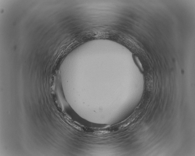 X0000067480748200605051712