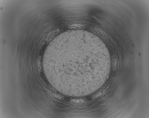 X0000067480749200605051712