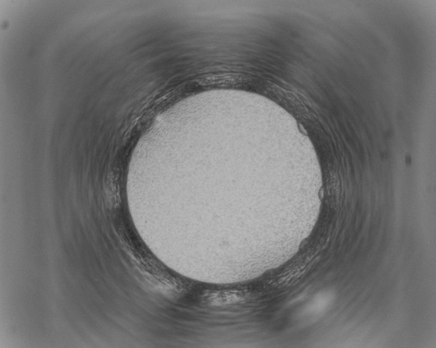 X0000067480751200605051712