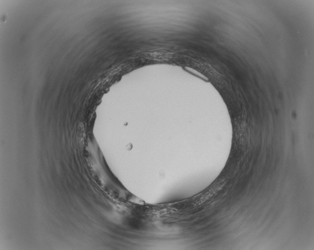 X0000067480752200605051712