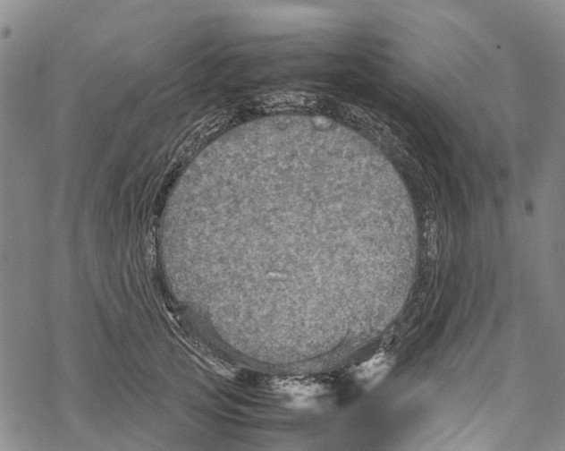 X0000067480753200605051712