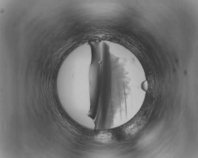 X0000067480754200605051712