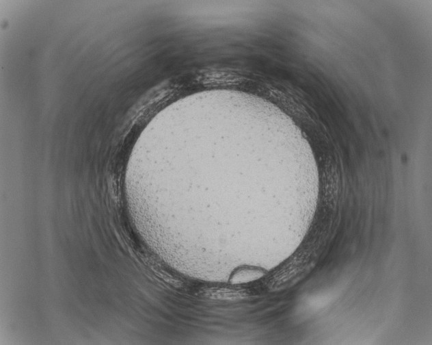 X0000067480755200605051712