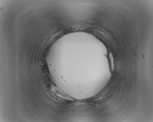 X0000067480756200605051712