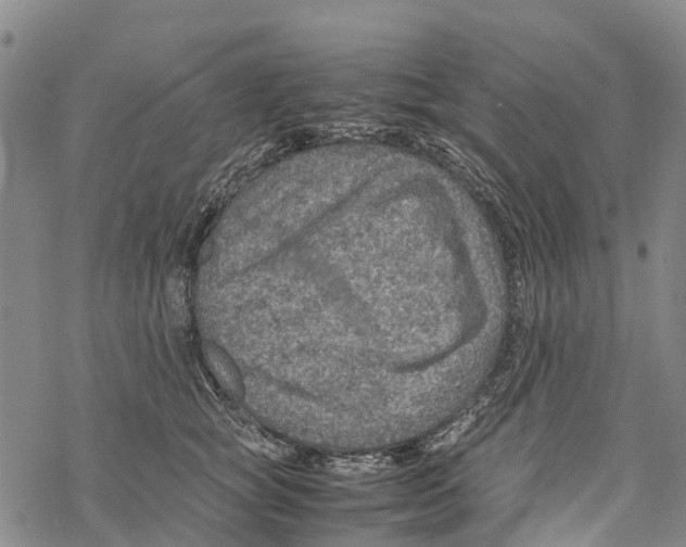 X0000067480757200605051712