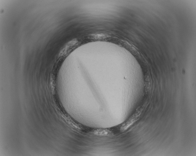 X0000067480762200605051712