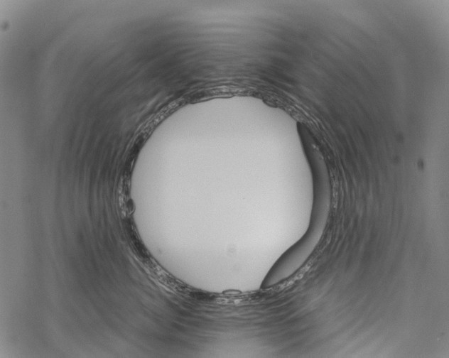 X0000067480764200605051712