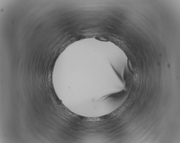 X0000067480767200605051712