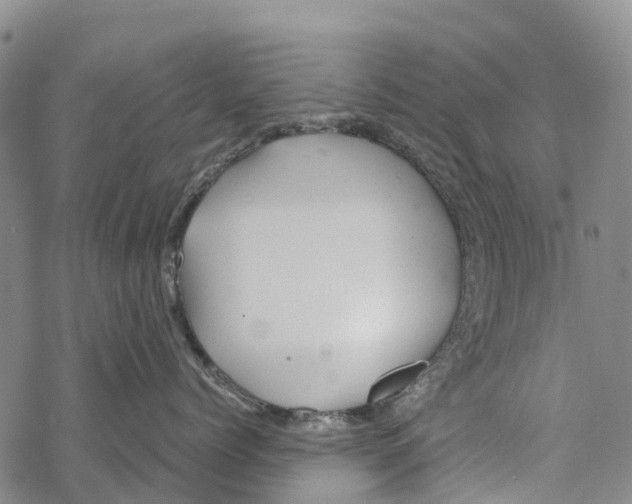 X0000067480768200605051712