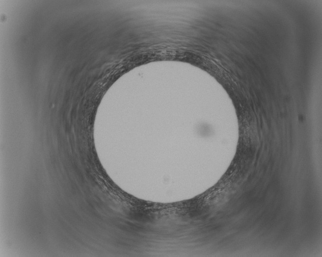 X0000067480769200605051711