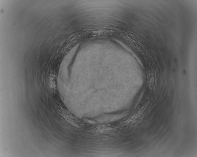 X0000067480770200605051711