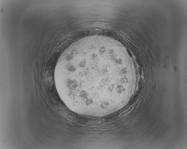 X0000067480771200605051711