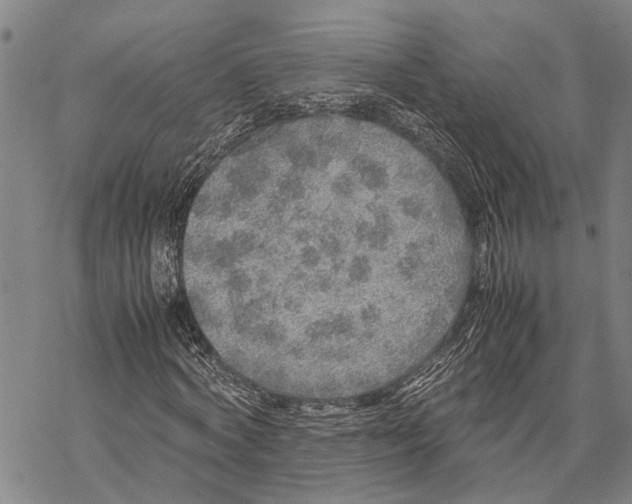 X0000067480772200605051711