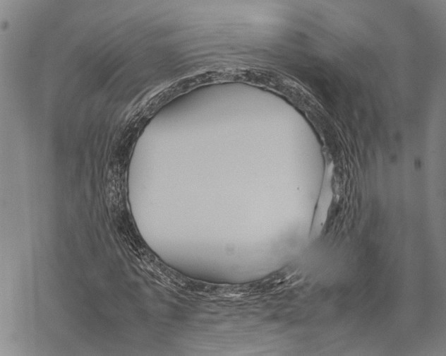 X0000067480773200605051711