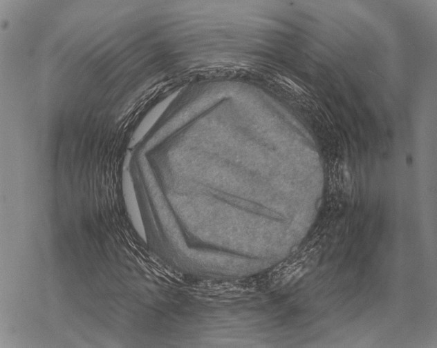 X0000067480774200605051711