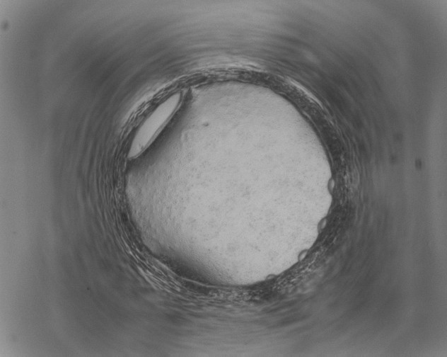 X0000067480775200605051711