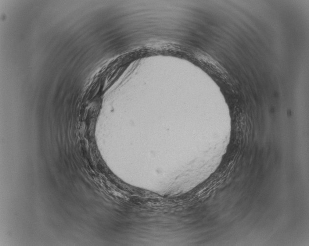 X0000067480776200605051711