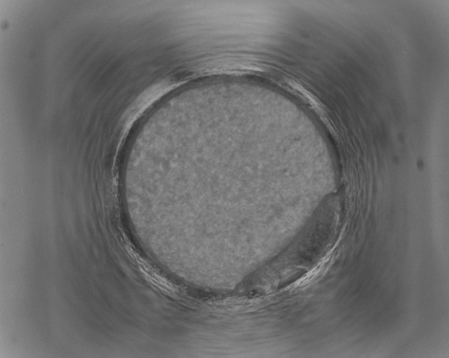 X0000067480779200605051711